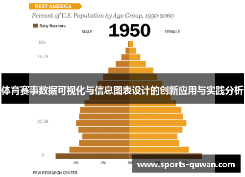 体育赛事数据可视化与信息图表设计的创新应用与实践分析